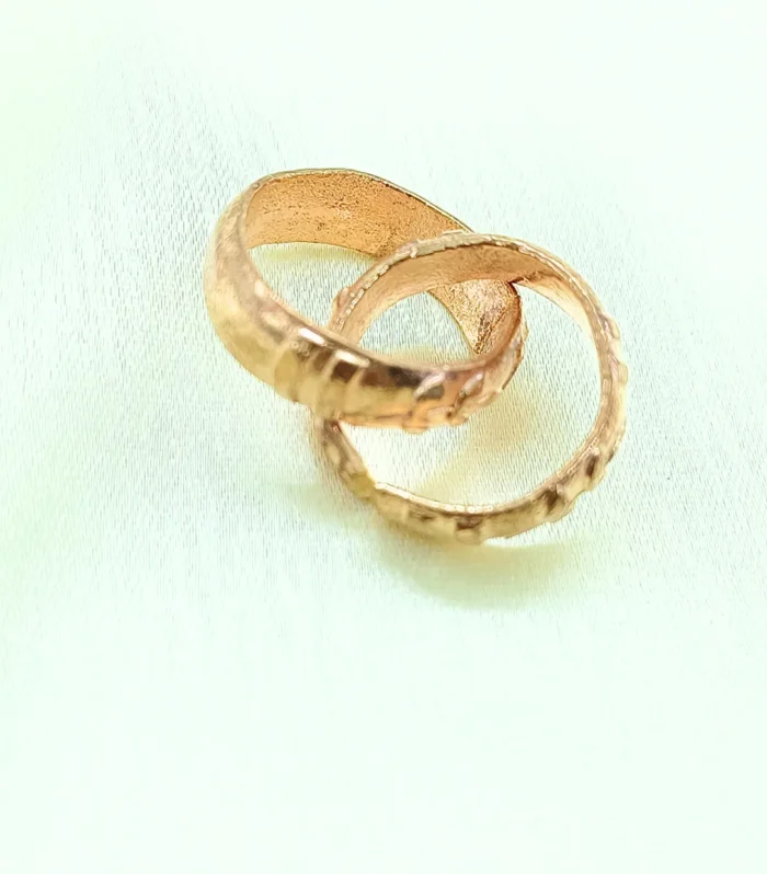Dual Design Toe Ring Set